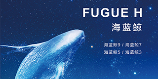 海藍鯨4折頁